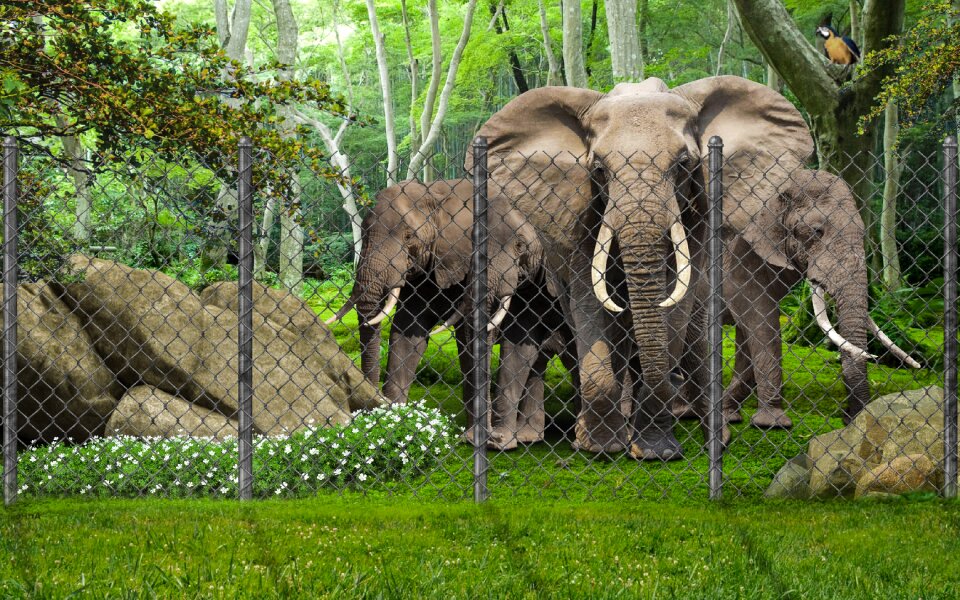 Grass mammal manipulation