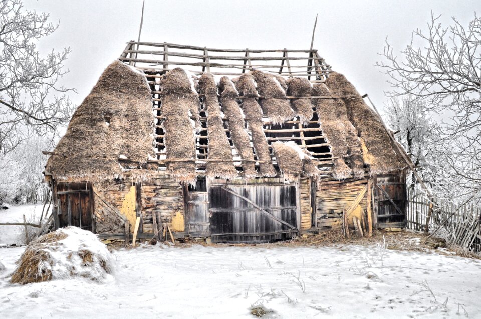 Wood cold architecture