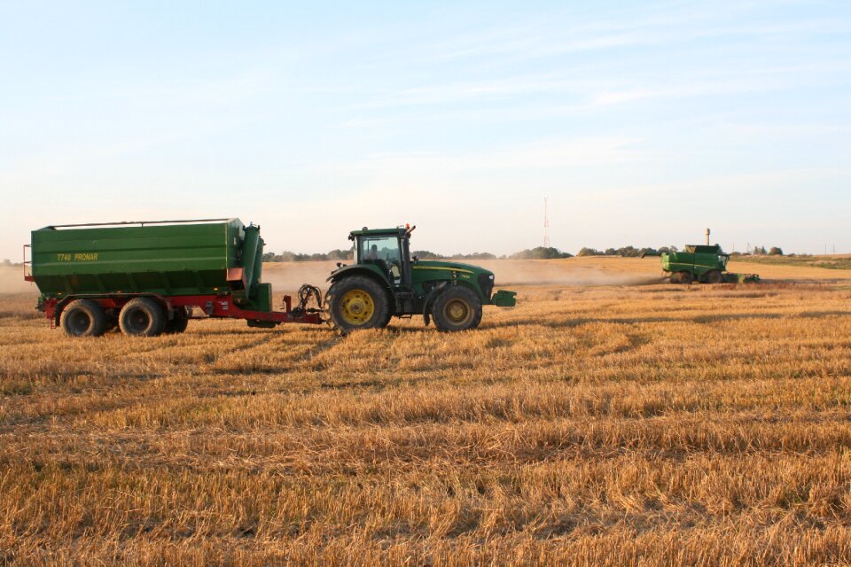 Harvest zelenogradsk the ruraleconomy