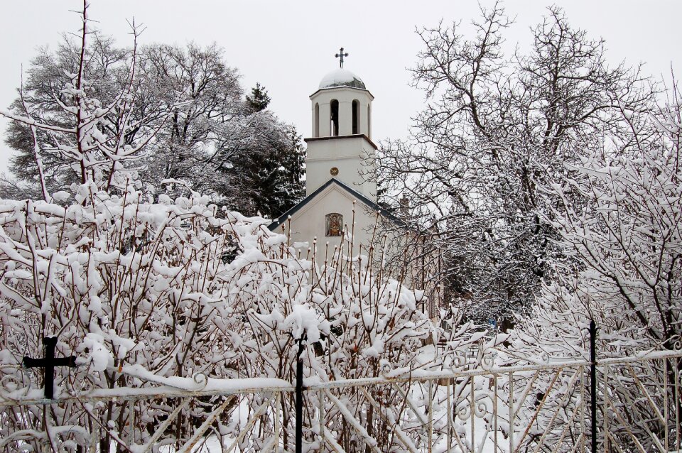 Cross trees winter
