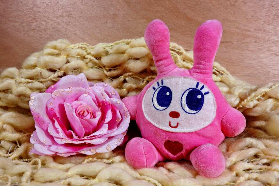 Rabbit pink rabbit fluffy