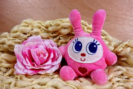 Rabbit pink rabbit fluffy photo