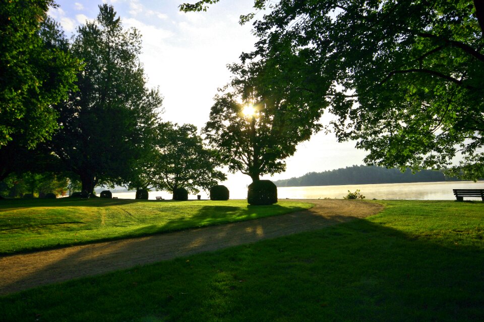 Nature summer park