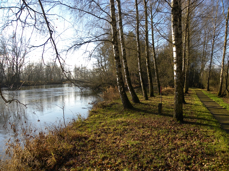 Munderkingen birch avenue