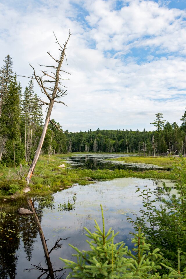 Sky canada algonquin