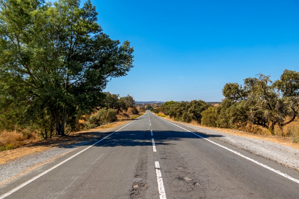 Tree roadway sky