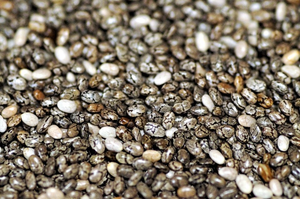 Sage seeds seeds salvia hispanic superpotravina