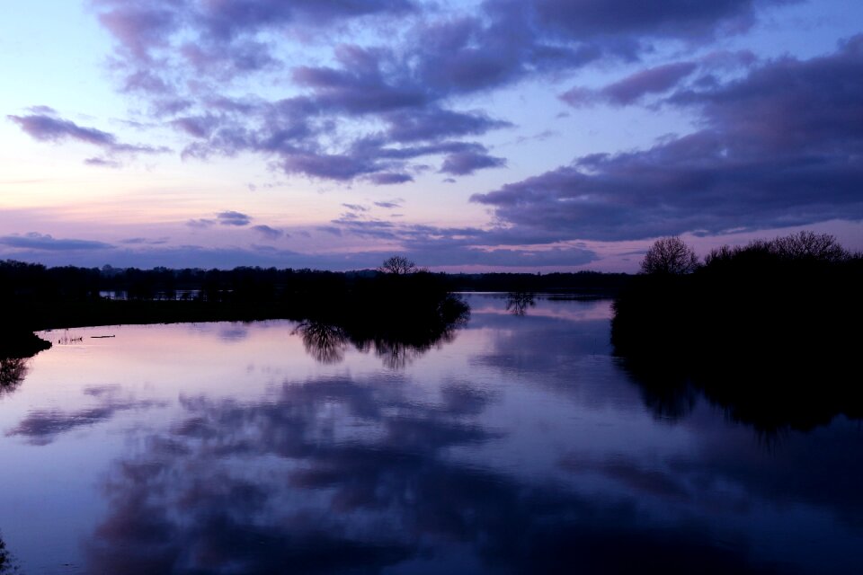 Dusk shannon violet