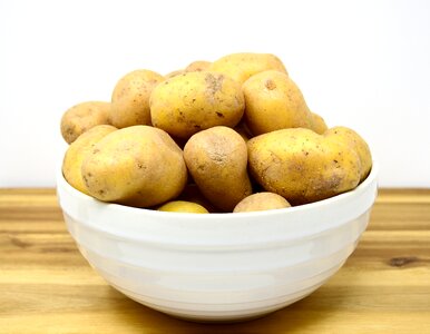 Like delicious food