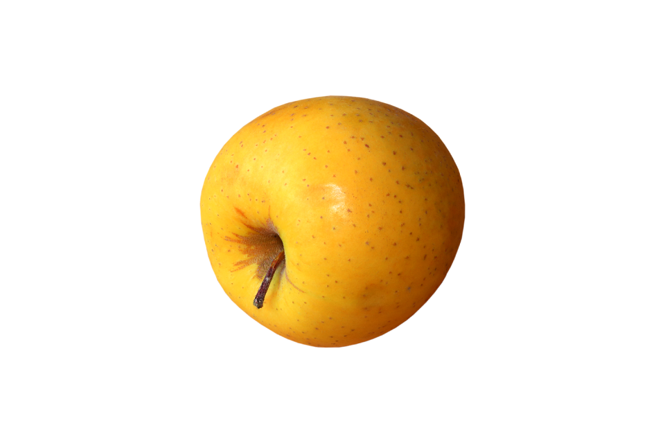 Apple fruit food