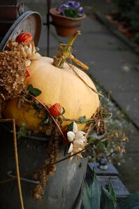 Autumn close up terrace