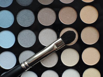 Makeup cosmetics brush
