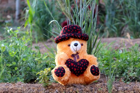 Bear cute toy