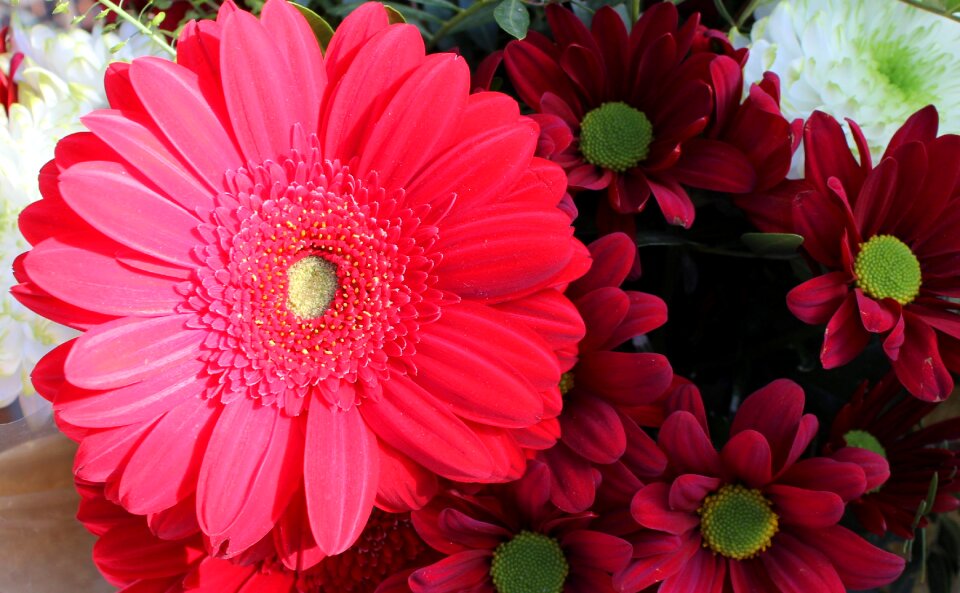 Petal bouquet blossom