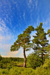 Yakutia landscape sky
