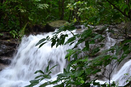 Stream river kathu photo