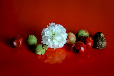 Pepper healthy food nutrition