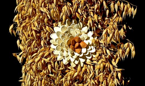 Seed pumpkin decoration
