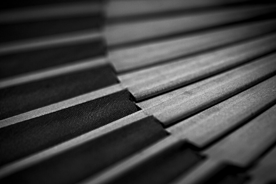 Vintage macro fan