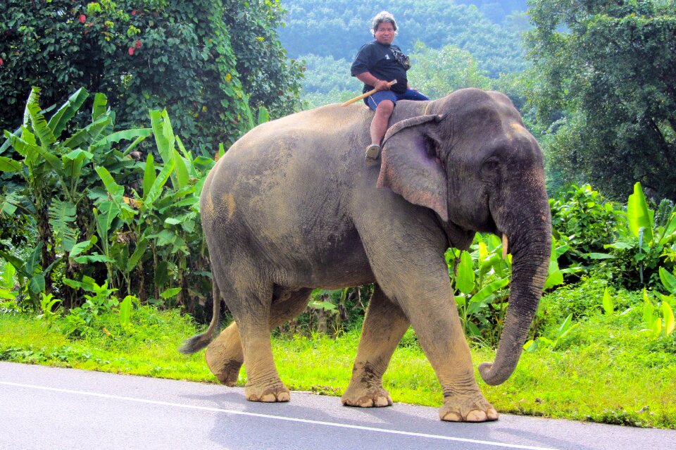Park travel thailand