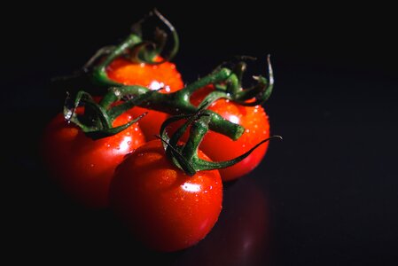 Food vegetables fresh