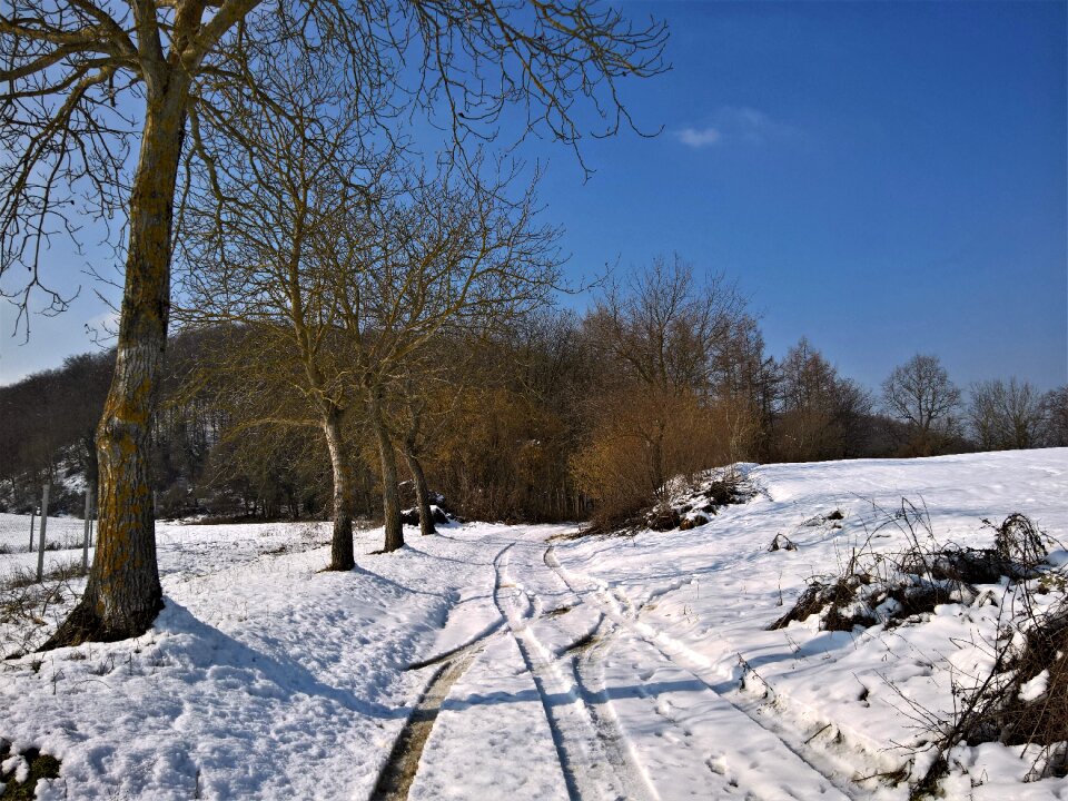 Cold frozen
