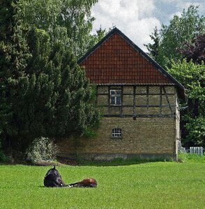 Farm house rush photo