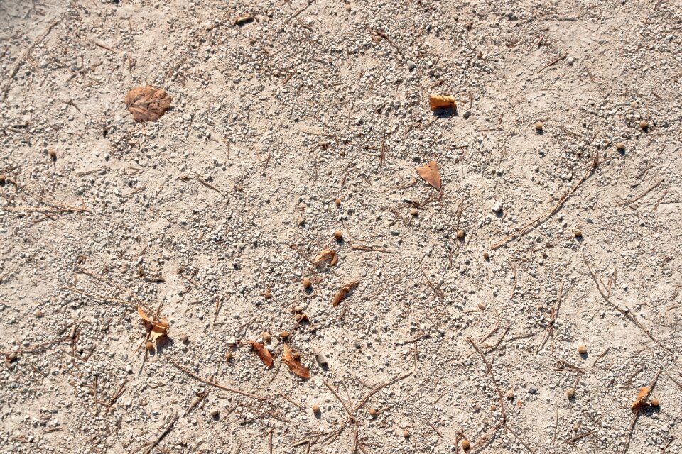 Dry pattern nature