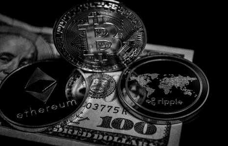Money wealth bitcoin
