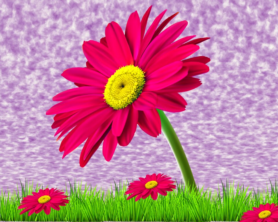 Violet open air background flowers