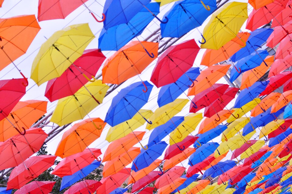 Umbrella mottled Free photos