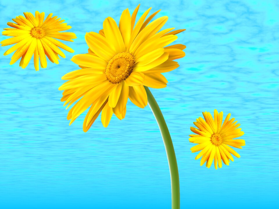 Flowers background yellow