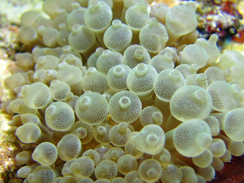 Nature sea pattern