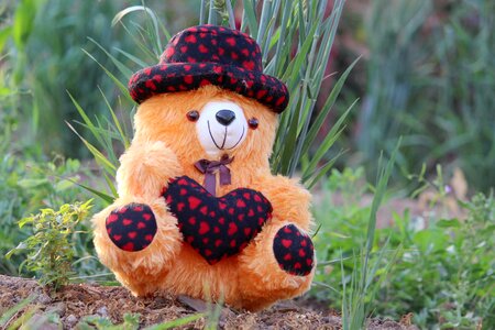 T bear cute toy