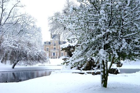 Cold frozen landscape photo