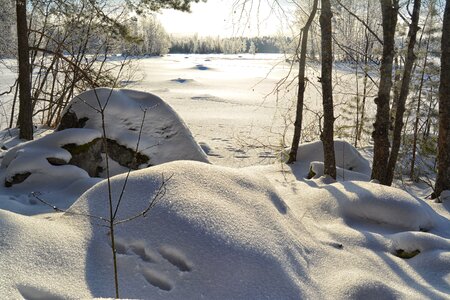 Frost ice snowy photo