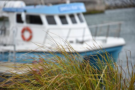 Travel horizontal background