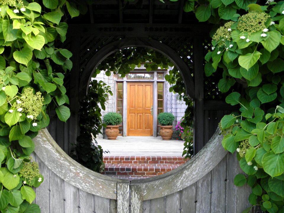 Ivy outdoors architecture