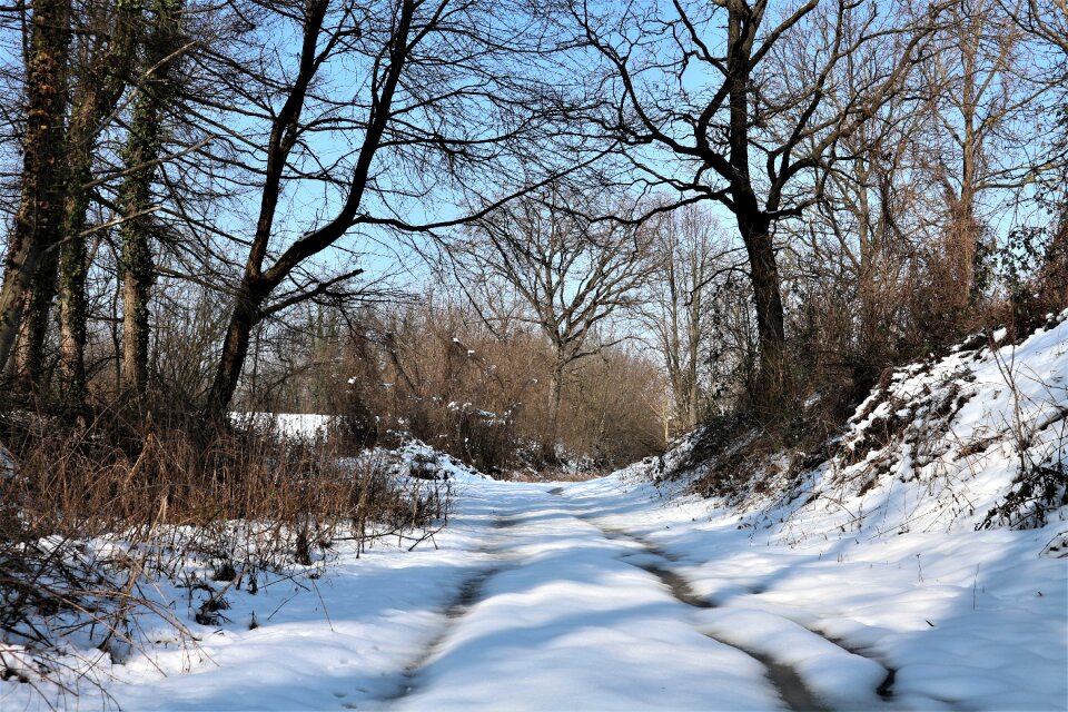 Cold frost