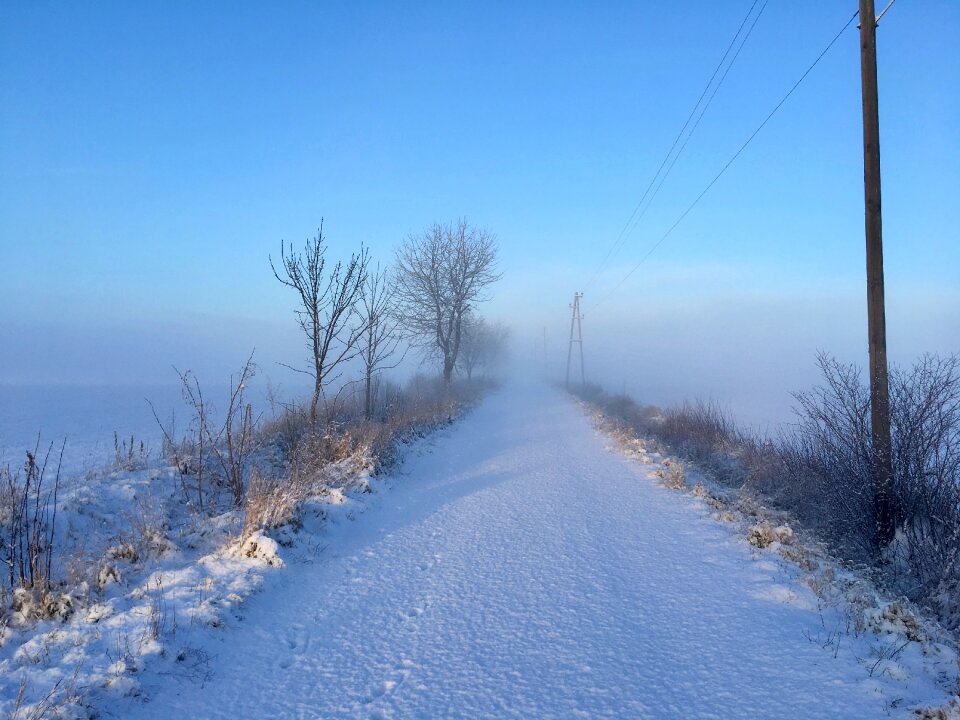 Frost nature landscape