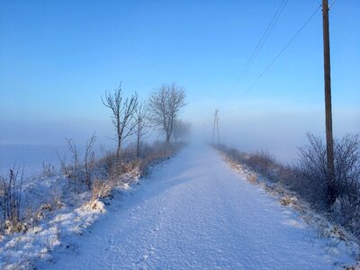 Frost nature landscape photo
