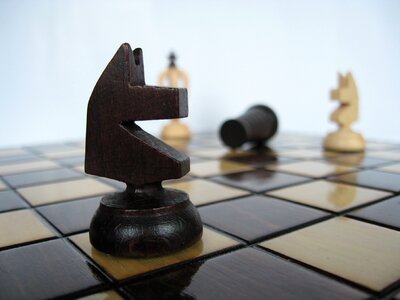 Knight intelligence