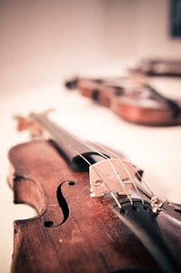 Classic musical instruments stringed instrument photo