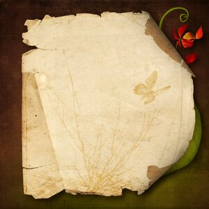 Page old parchment