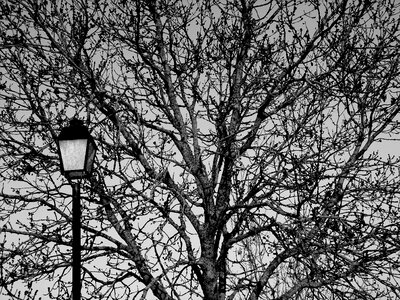 Winter wood lantern