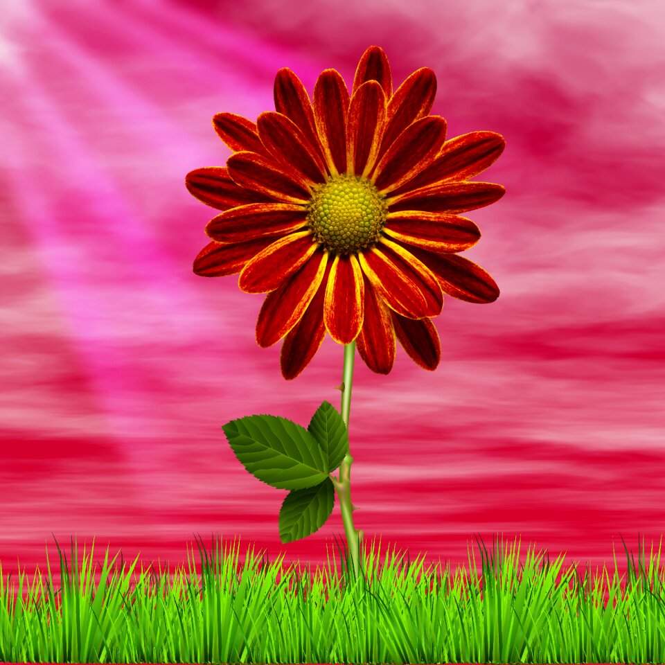 Plant open air background flower