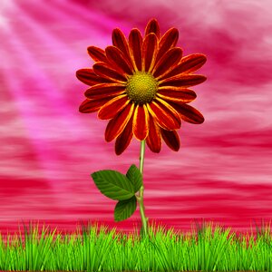 Plant open air background flower