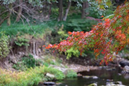 Autumn season scenery photo