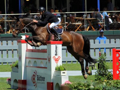 Show jumping tournament tournament ride