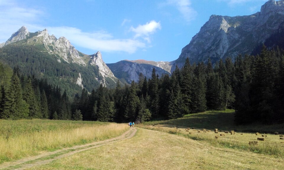 Travel tatry small meadow valley